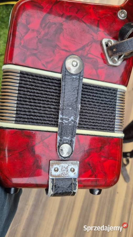 Akordeon Instrumenty klawiszowe i MIDI Bogatynia