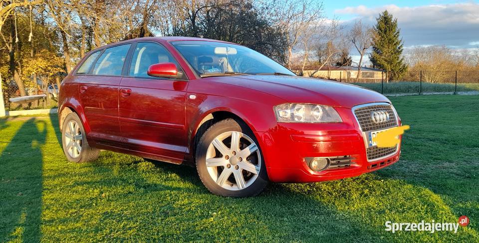 Sprzedam A3 Głogowiec