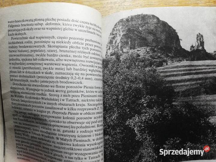 Pieniny Władysław Strojny Kraków sprzedam