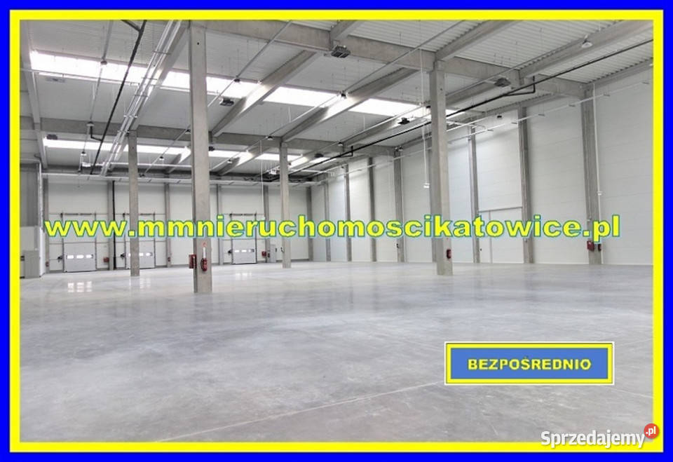 Hala do wynajęcia Siemianowice Śląskie