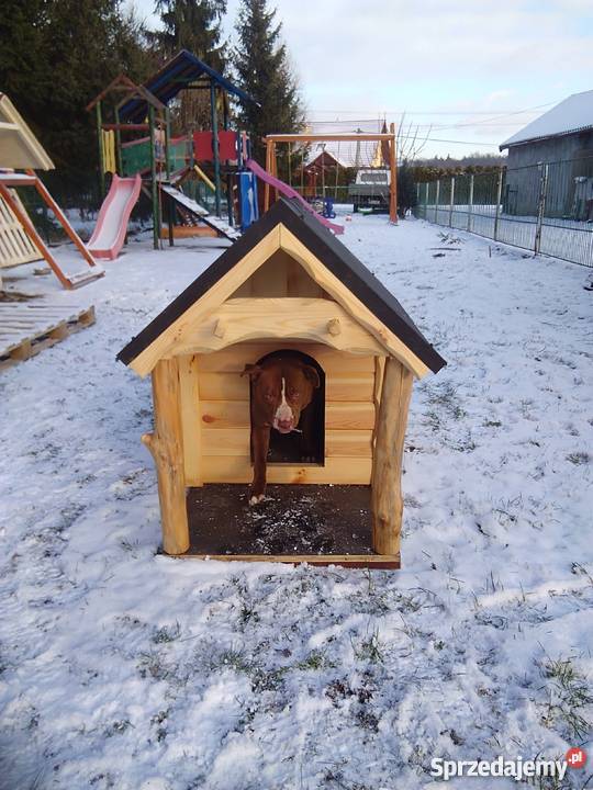 Buda drewniana Pogwizdów sprzedam