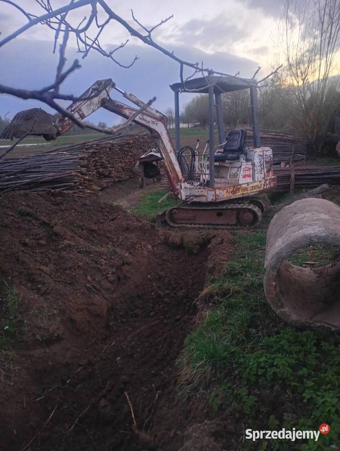 Mini koparka bobcat Sandomierz