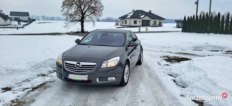 Opel Insignia 2011 Ecoflex Super Stan podkarpackie Sędziszów Małopolski