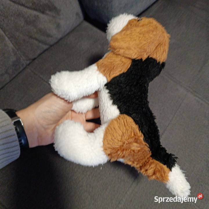 piesek maskotka pluszak kolejny Poznań sprzedam