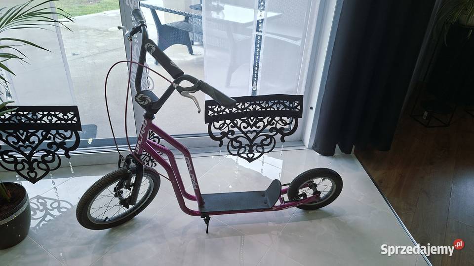 Hulajnoga Duża Galaxy Zenit Dla Dziecka Chybie