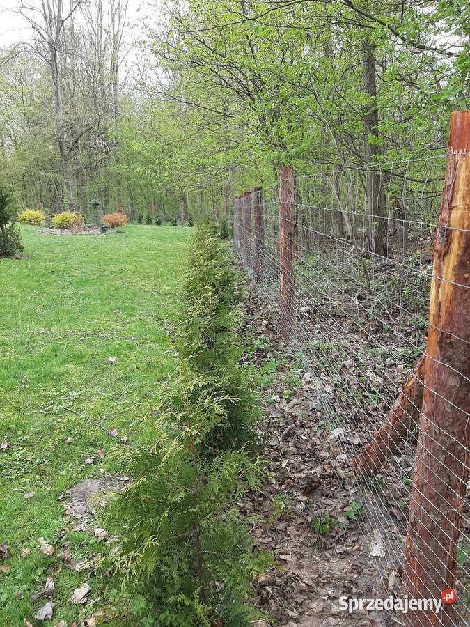 Ogrodzenia z siatki leśnej tymczasowe budowlane Wschowa sprzedam