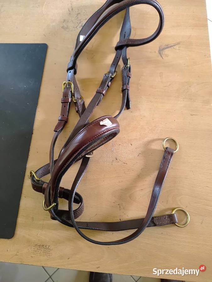 OGŁOWIE BEZWĘDZIDŁOWE BRĄZOWE L mazowieckie Kazanów sprzedam