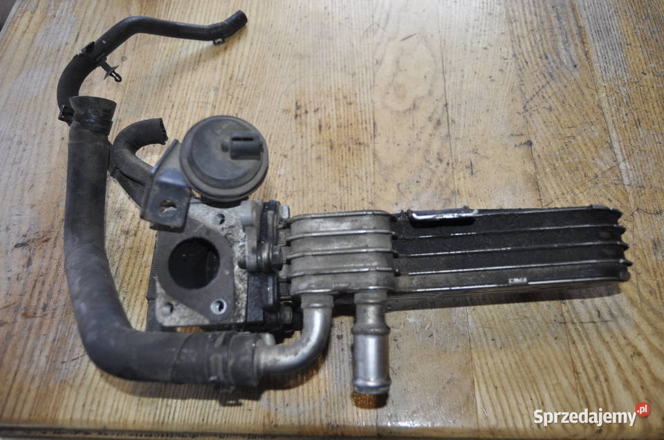 Chłodnica Spalin Egr VW Seat Audi 038131513AD sprzedam