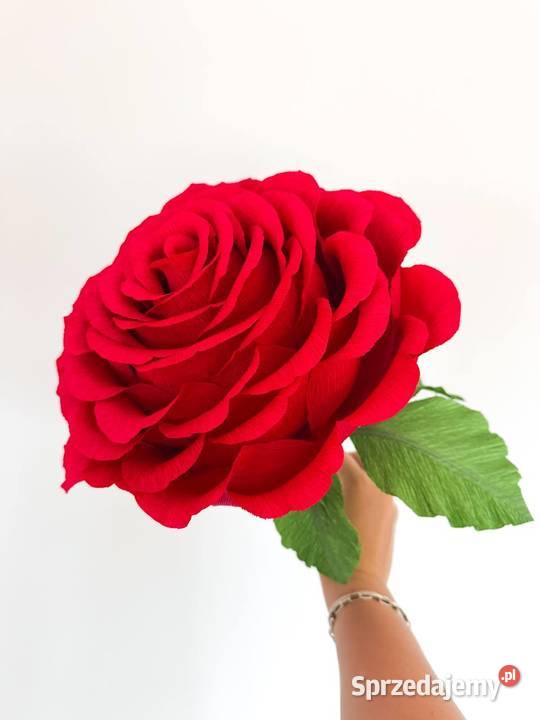 Duża róża z krepiny włoskiej lubuskie Zielona Góra