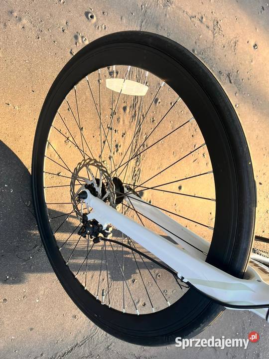 Rower elektrycznyMotus Ootler TormS L Okazja Łódź