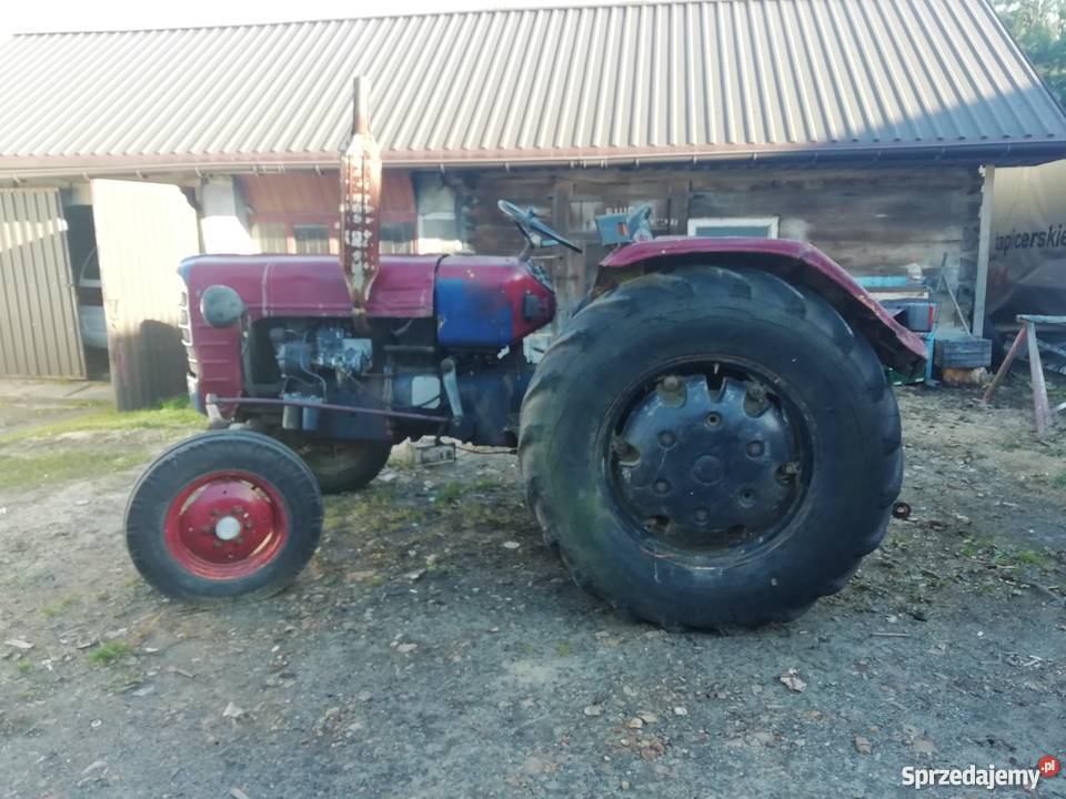 Zetor majorek Wąchock