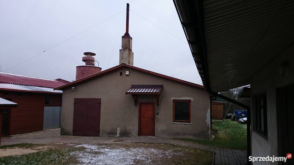 Stolarnia 2 Halebiuro Maszyny 1000m2 Centrum ogrzewanie Lokale użytkowe Pabianice