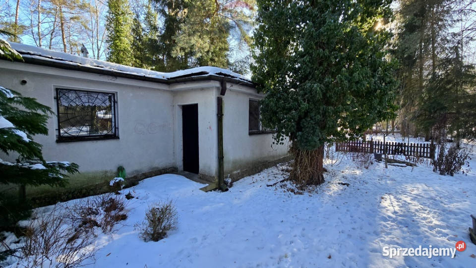 Działka zabudowana Zalesie Górne Kwiat Paproci