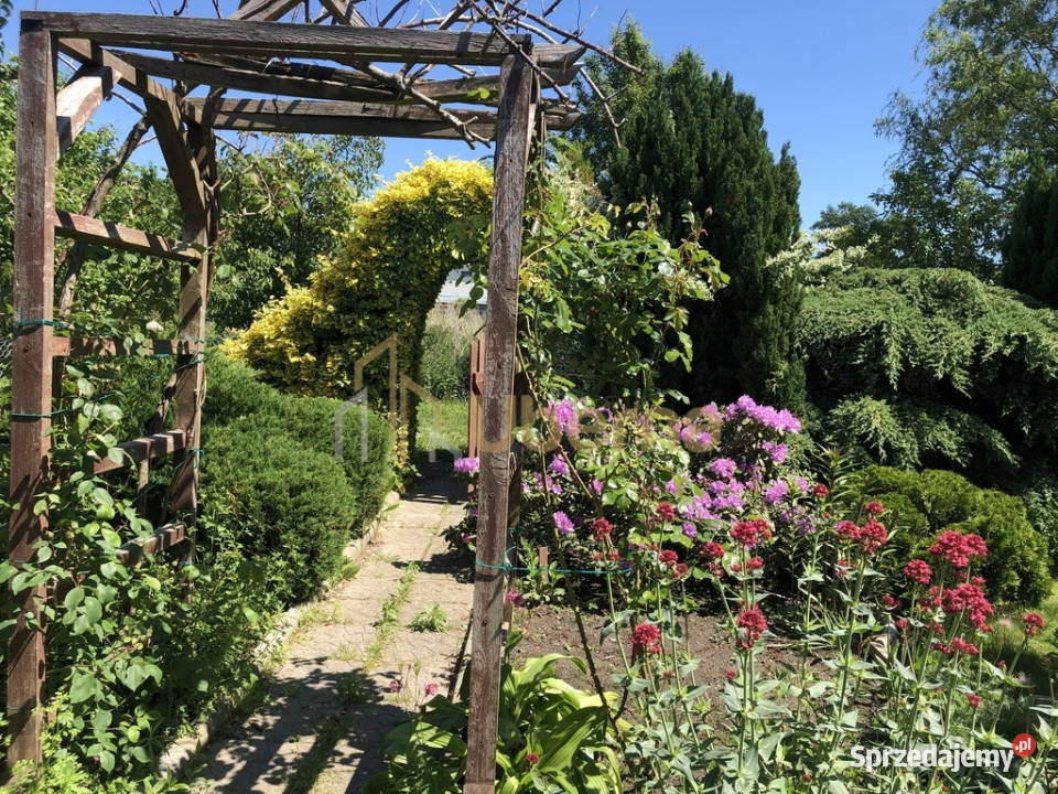 Mieszkanie 2pok Darż pod Maszewem na sprzedaż zachodniopomorskie