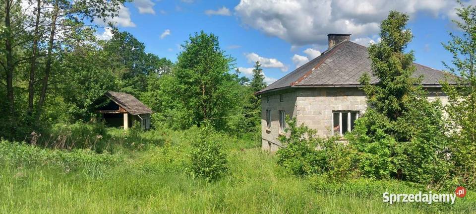 Działka zdomem i budynkiem gospodarczym Dębica