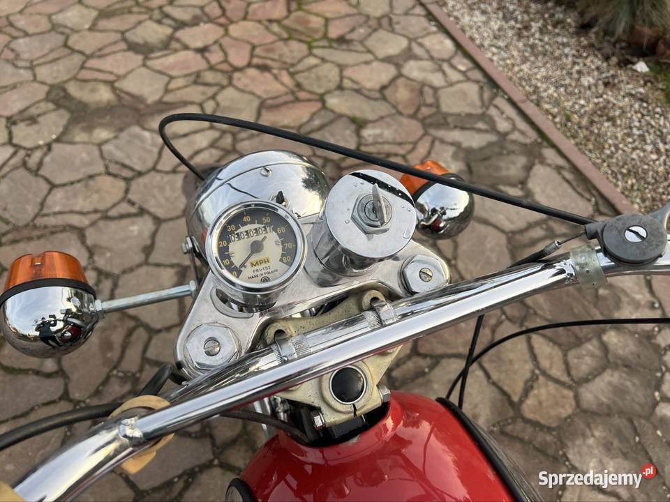 WSK Export 175 Full Zarejestrowana Igla Chełm