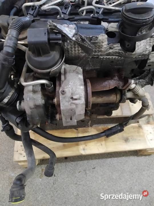 SILNIK KOMPLETNY DIESEL CBB 20 TDI Skoda Superb sprzedam