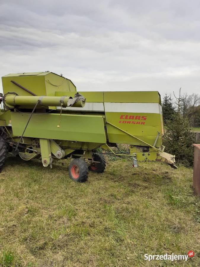 Claas Corsar kombajn z sieczkarnią lubelskie Krasnystaw
