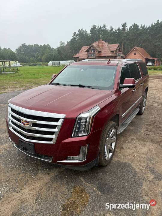 Cadilac Escalade Premium IV 2016 7 osób ESV 165 Prądocin