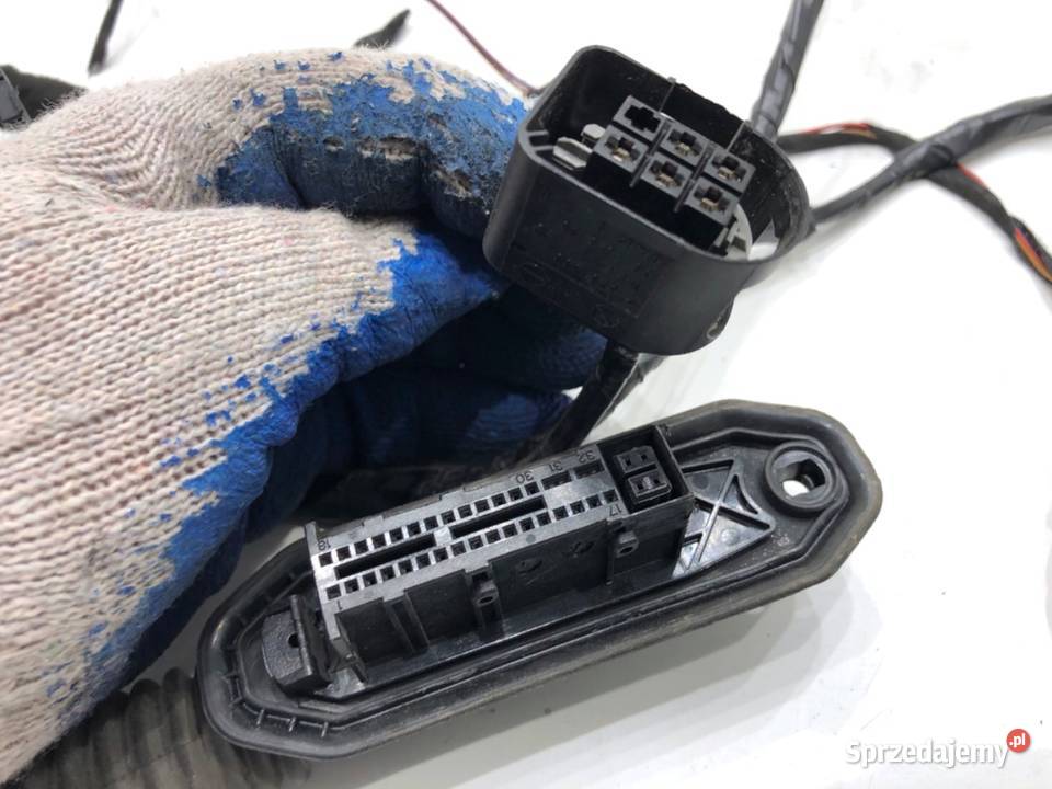 WIĄZKA DRZWI PRZÓD LEWY BMW E71 7209881 30 245