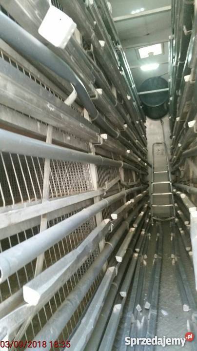 MAN kabina do transportu gołębi tak dolnośląskie Kamienna Góra