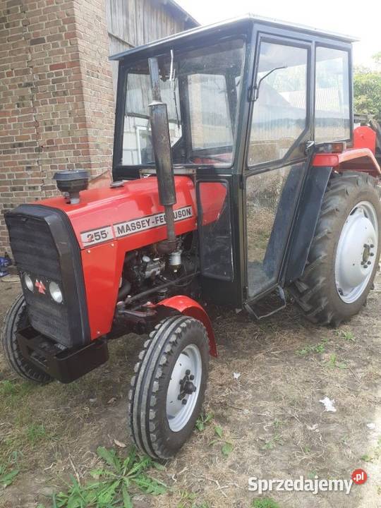 Massey Ferguson 255 Bzowiec