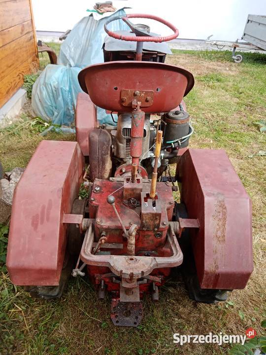 Sprzedam dzik 21 Pozostałe podkarpackie Przeworsk