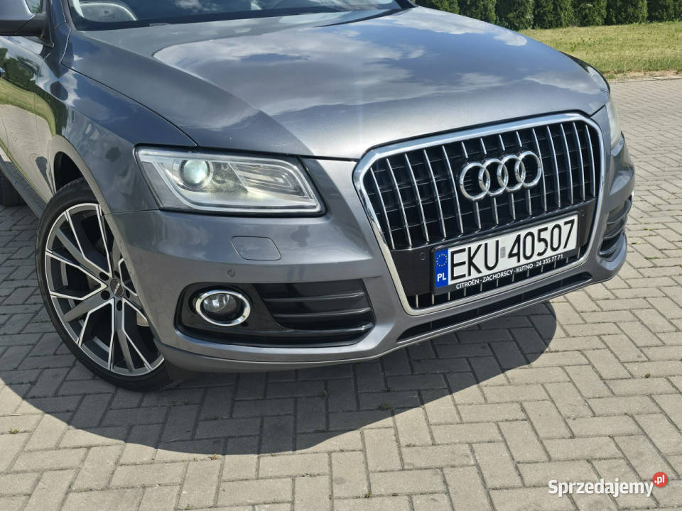 Audi Q5 20tdi SkóryNaviKlimatr 2 232000km Kutno