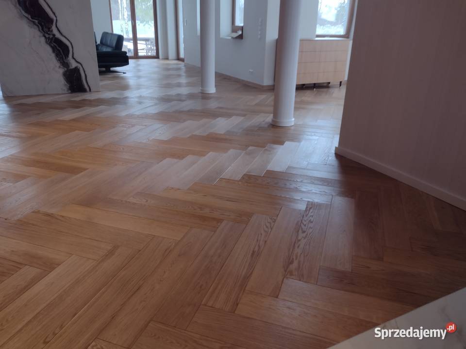 Jodełka jodła angielska Gdańsk