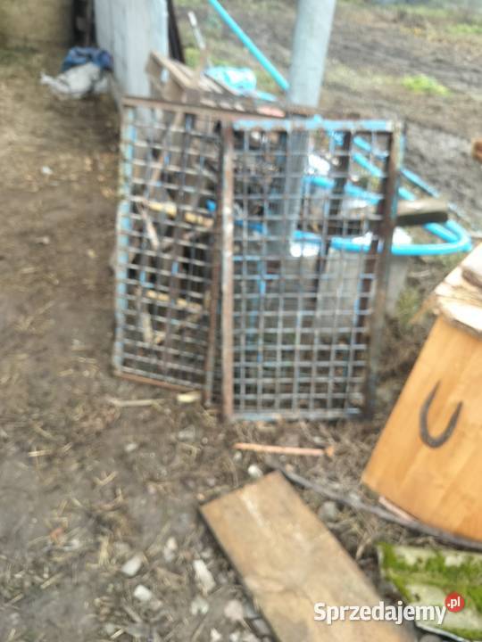 Sortownik do ziemniaków nieuszkodzony Miłochniewice