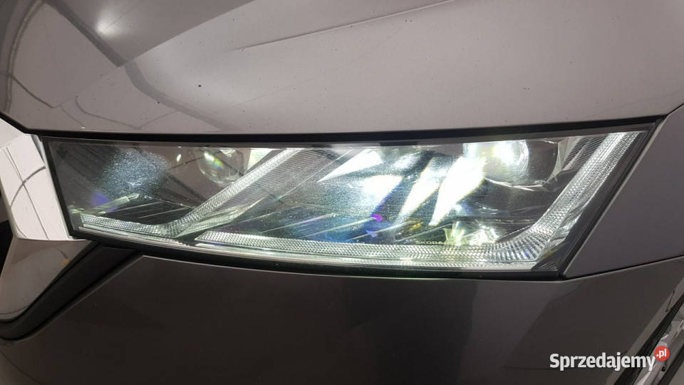 koda Octavia 20 TDI Ambition Z Polskiego Salonu Octavia Warszawa