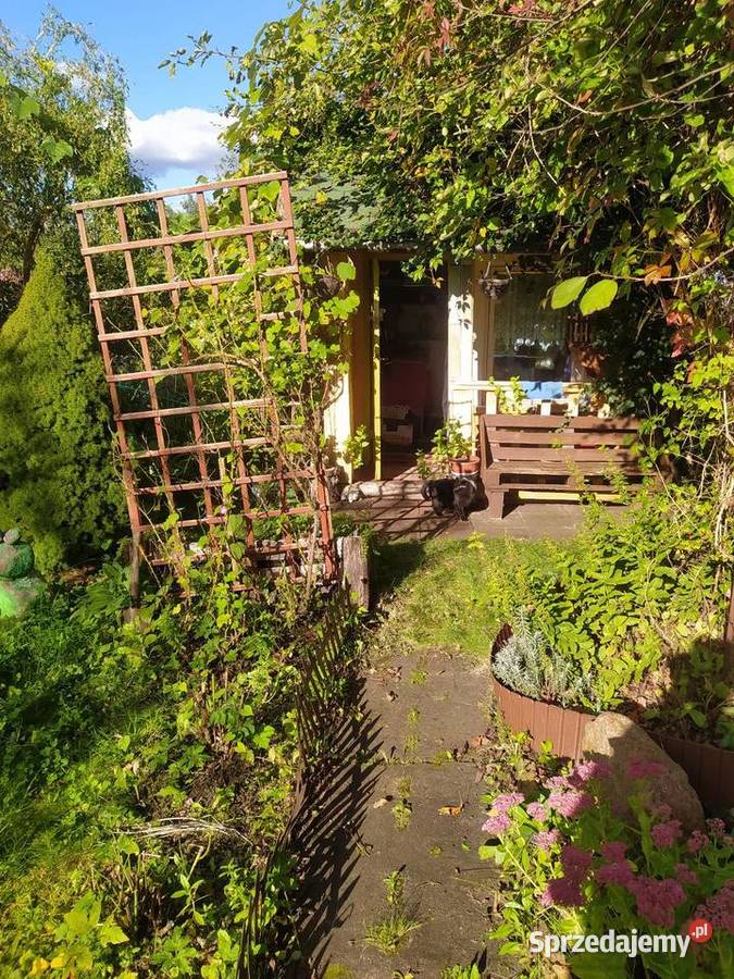 Działka ROD Olsztyn sprzedam