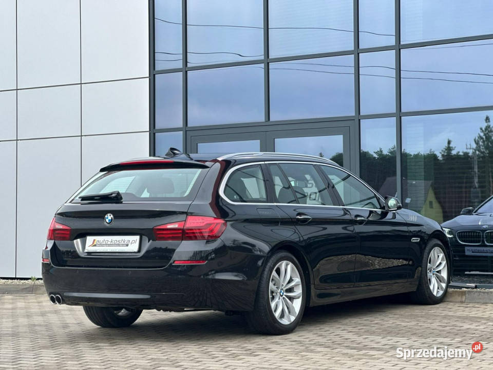 BMW 525 Bixenon LED Elklapa Skóra Asystent czujnik zmierzchu opolskie Kąty Opolskie