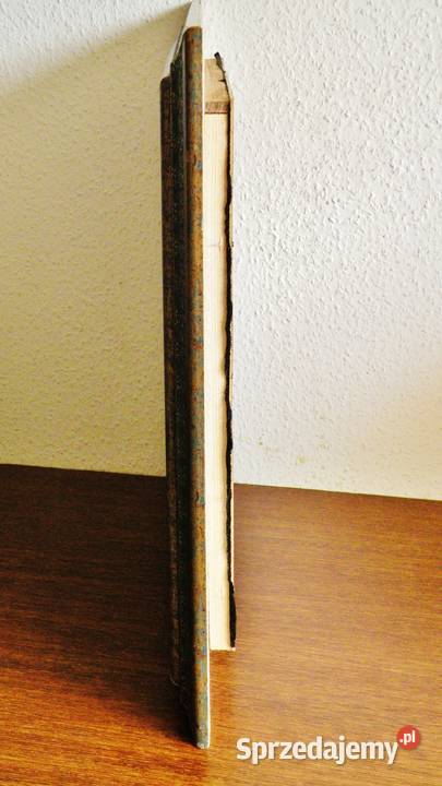 Płaskorzeźba relief egipski gipsowy 37 x 37 w Bydgoszcz