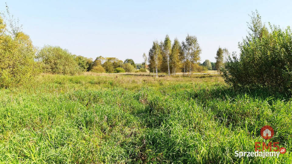 Działka na sprzedaż 5100m2 Ciasne 172zł/m2