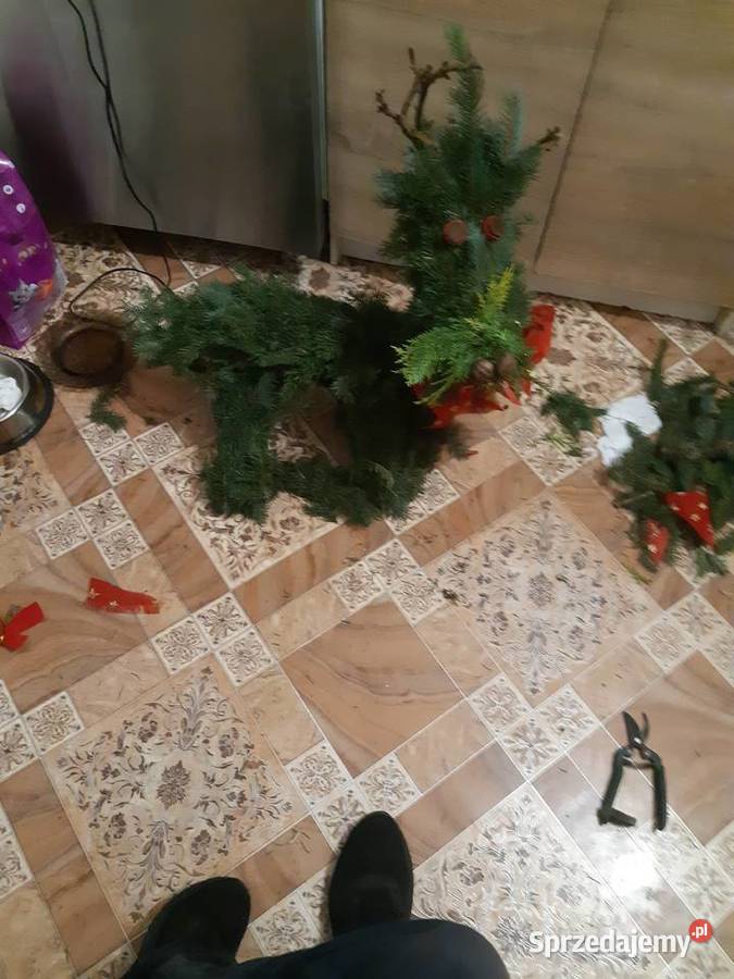 Sprzedam Gorzów Wielkopolski