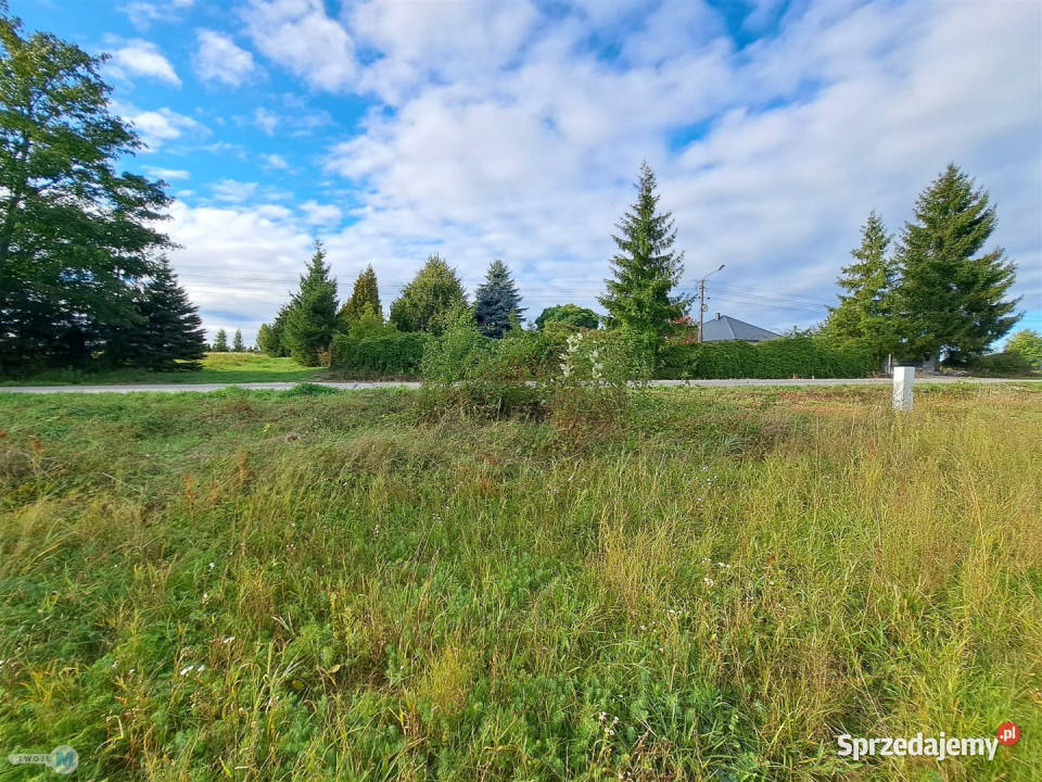Ogłoszenie działka Pierzchnica 6600m2
