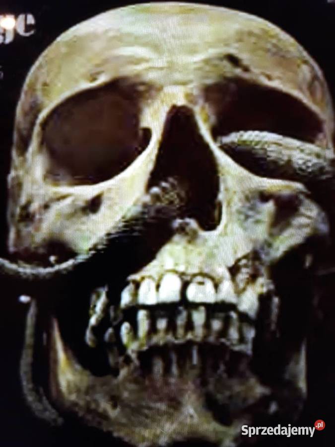 Z wykopalisk hard prog rocka MESSAGE From Books Rzeszów