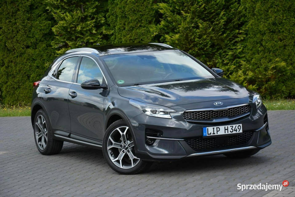 Kia XCeed Launch Full Led Panorama RadarACC JBL Ostrów Mazowiecka