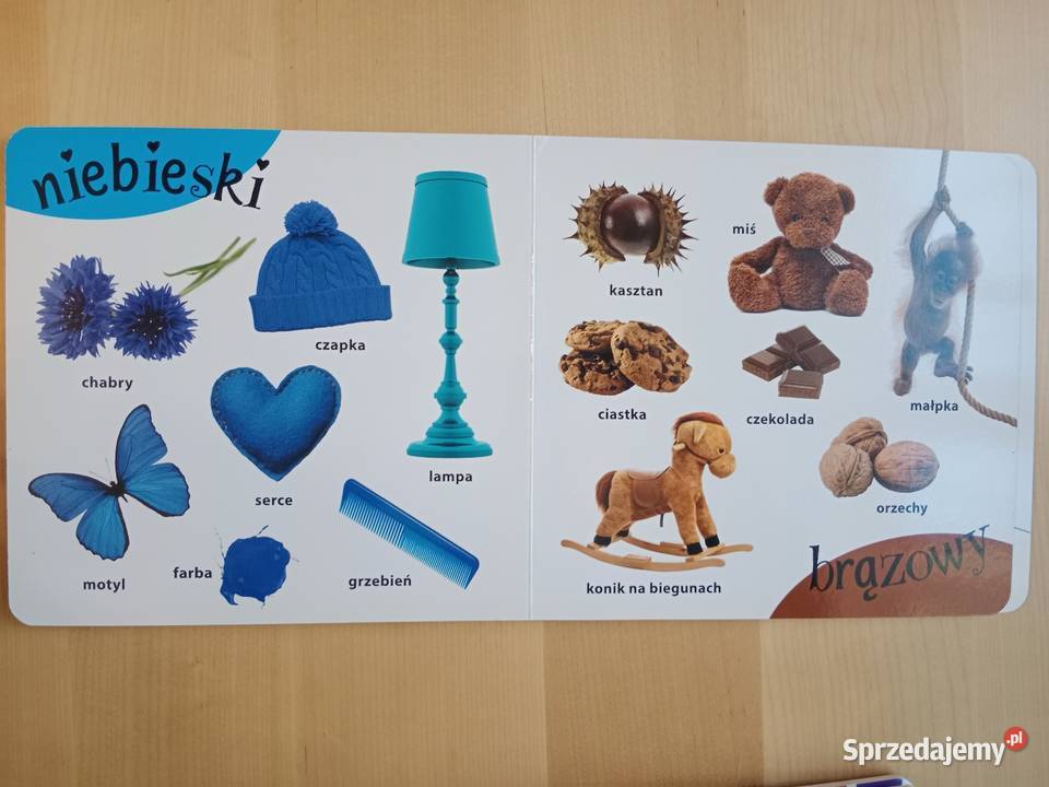 Książeczki Kolory Liczby zestaw twarda Poznań