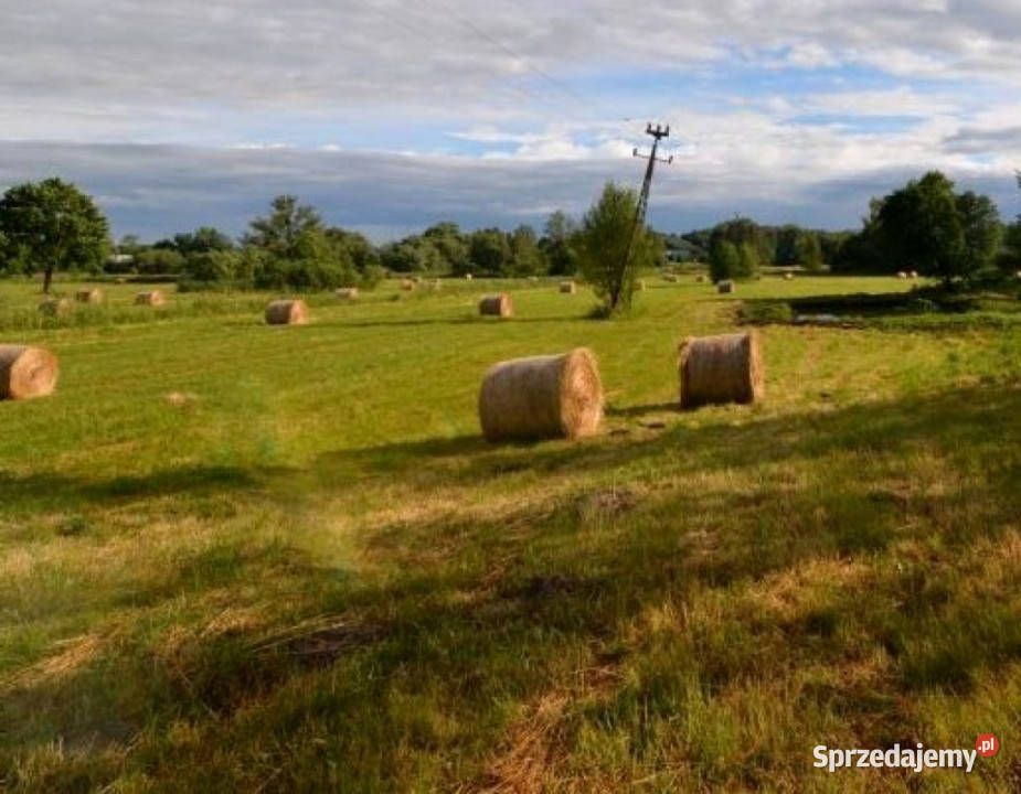 Ogłoszenie działka 5089m2 Chrząchówek 25m