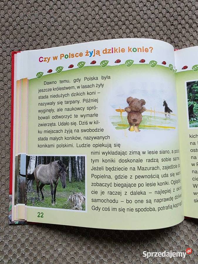 seria Zapytaj Misia o ZWIERZĘTA Kraków