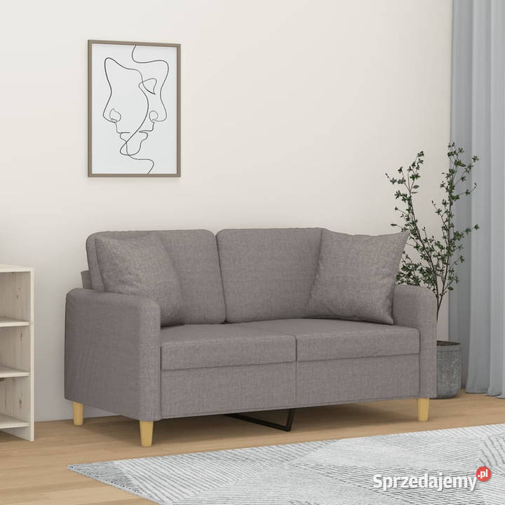 2osobowa sofa z poduszkami jasnoszara 120 mazowieckie Warszawa
