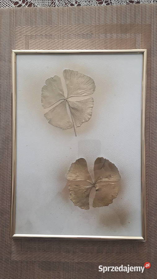 obraz złoty koniczynki z liści miłorzębu na Poznań sprzedam