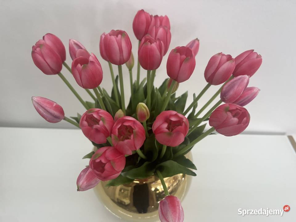 Bukiet tulipanów gumowych 7 sztuk Premium kolor Golkowice