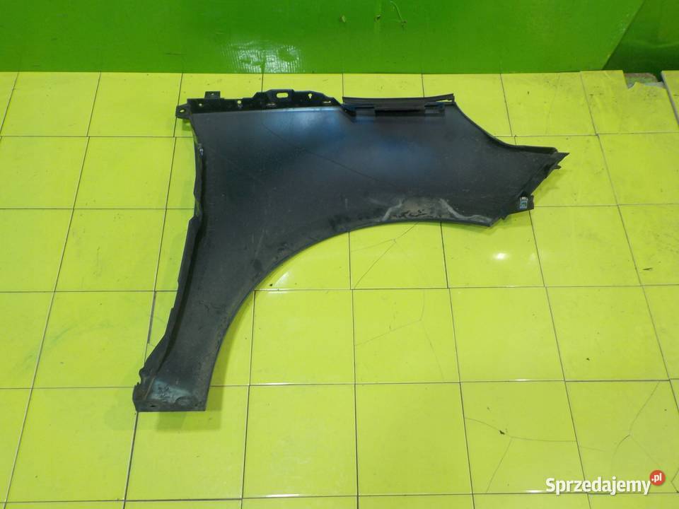 RENAULT GRAND SCENIC III 11r 5D blotnik lewy Suków