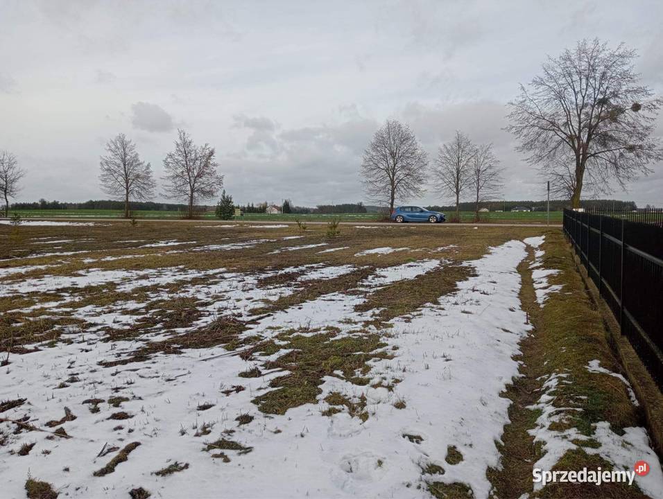 Dąbrówka gm Czerwonka działka budowlana 1100m Czerwonka Szlachecka sprzedam