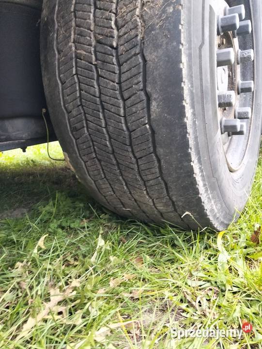 Scania Euro 6 kabina sypialna lubelskie Ryki