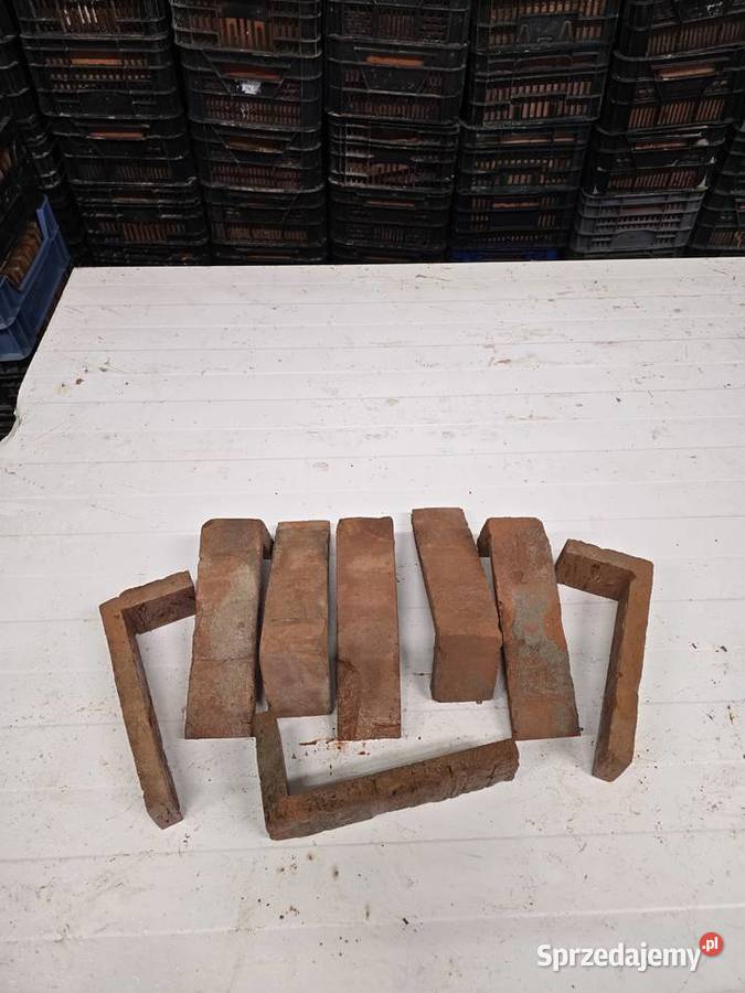 płytka cegła lico pomorskie Lębork