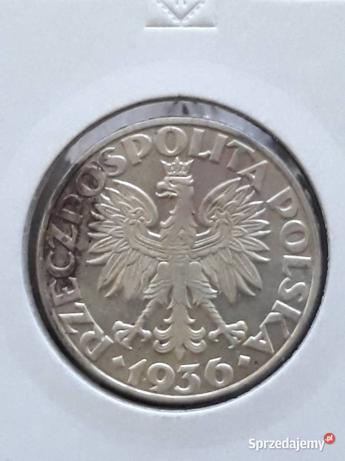 5 Żaglowiec 1935 r około mennicze M wielkopolskie Konin sprzedam